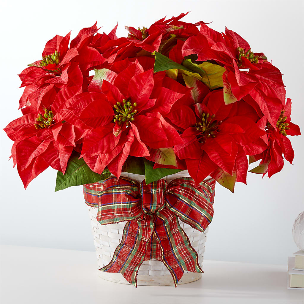 Happiest Holidays Poinsettia – Citifloral, New York NY