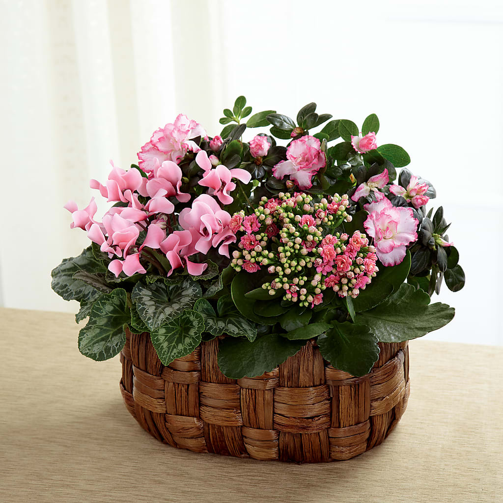 Pink Assortment – Citifloral, New York NY