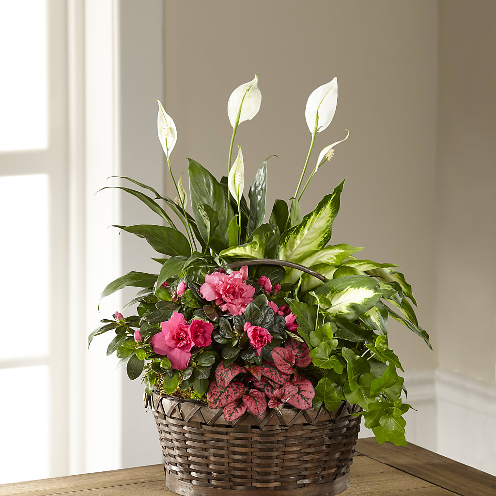 Dream in Pink Dishgarden – Citifloral, New York NY