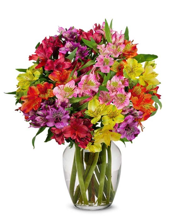 Vase of Alstromeria – Citifloral, New York NY