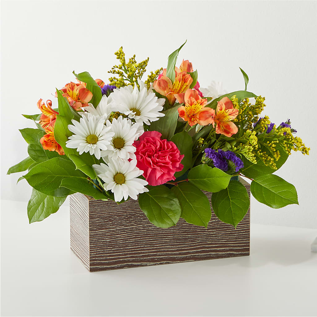 Oopsie Daisy Box Bouquet – Citifloral, New York NY
