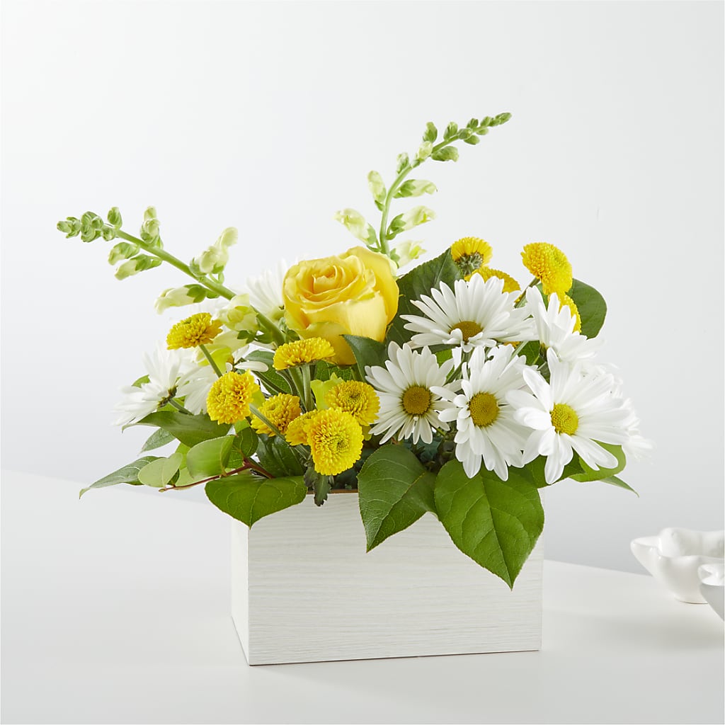 Sun Salutation Box Bouquet – Citifloral, New York NY