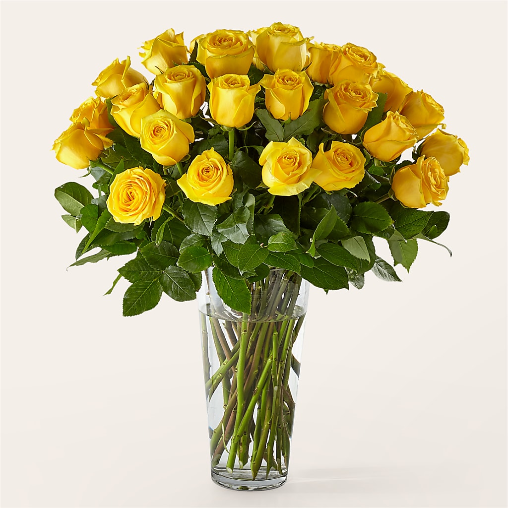 Long Stem Yellow Rose Bouquet – Citifloral, New York NY