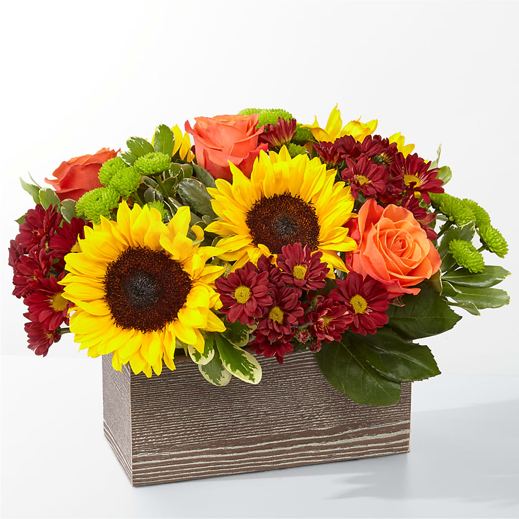 Happy Harvest Garden – Citifloral, New York NY