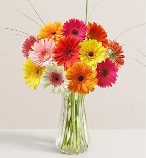 Vase of mixed Gerbera Daisies.