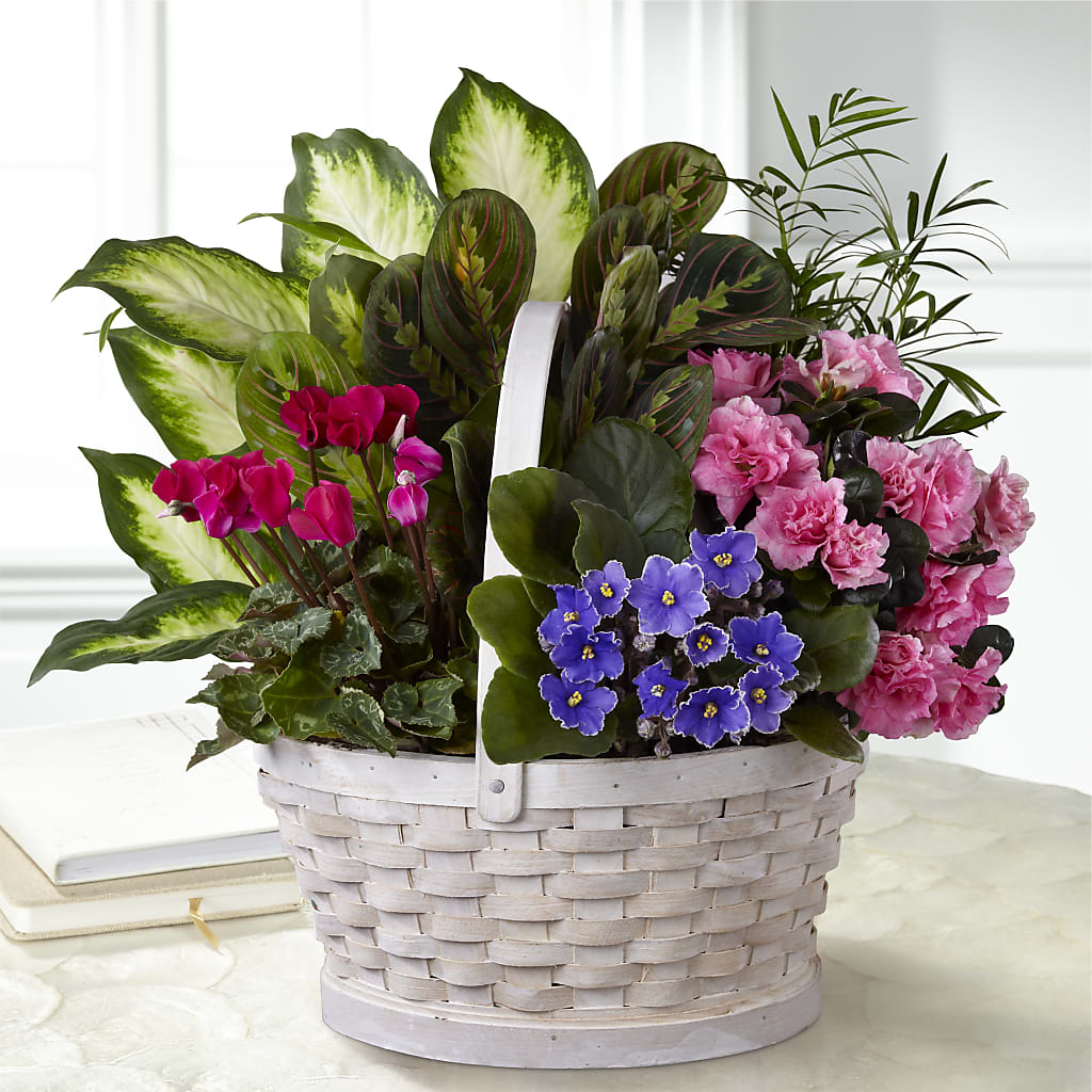 Peaceful Garden Planter – Citifloral, New York NY