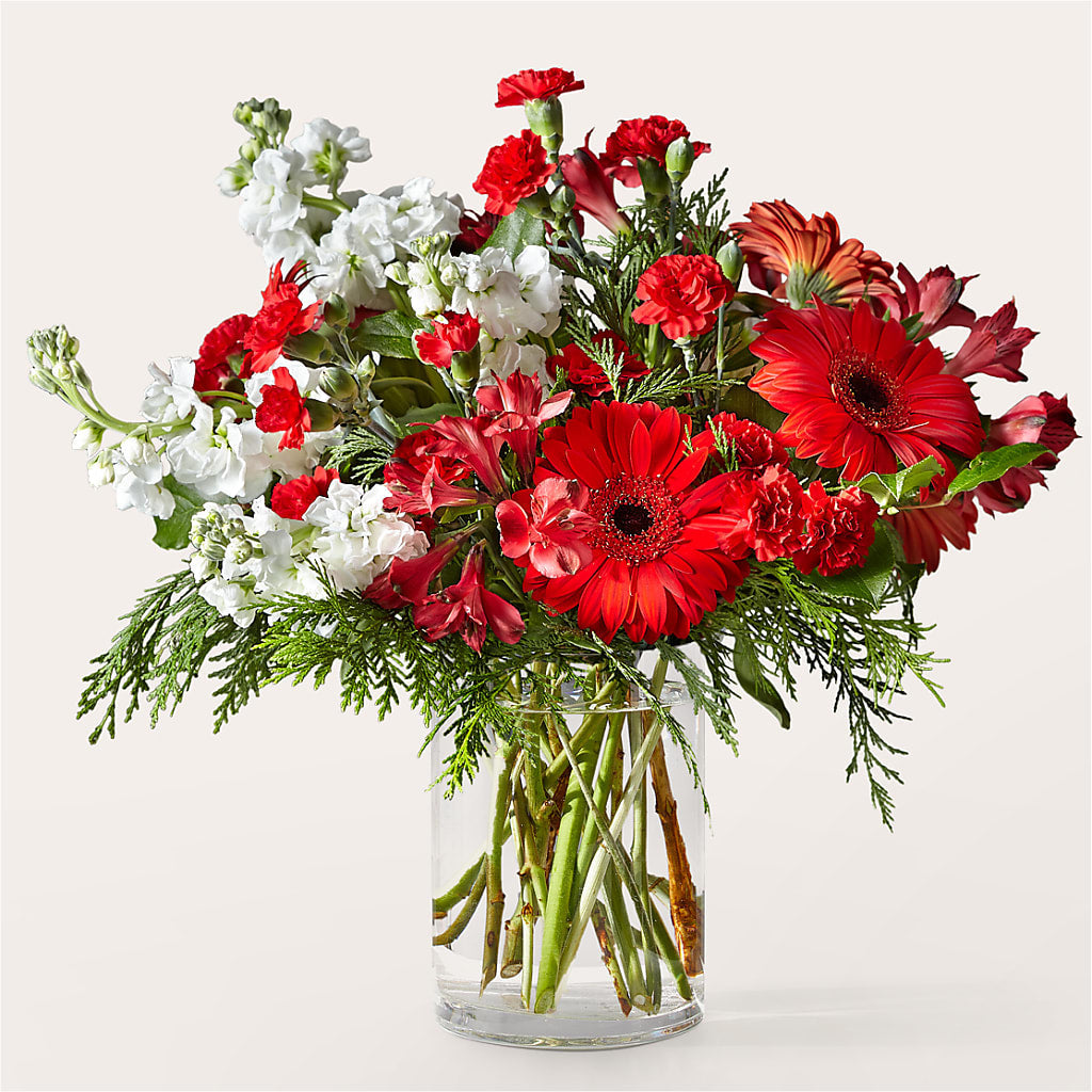 Holidaisy Bouquet – Citifloral, New York NY