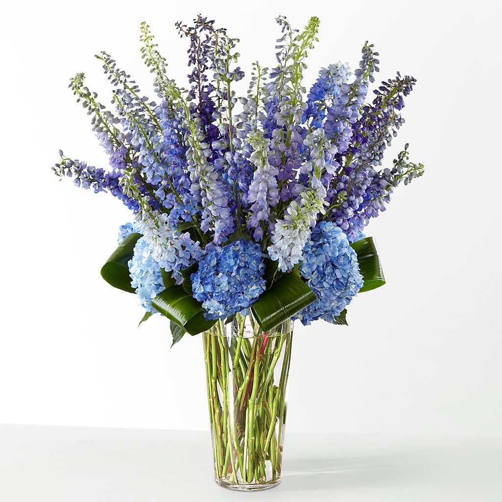 The Editorial – Citifloral, New York NY
