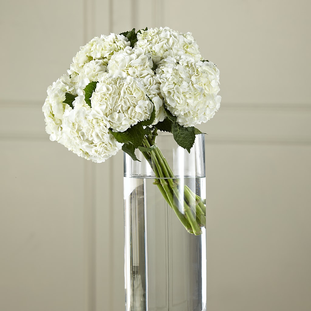 White Hydrangea Hand-Tied Bouquet – Citifloral, New York NY