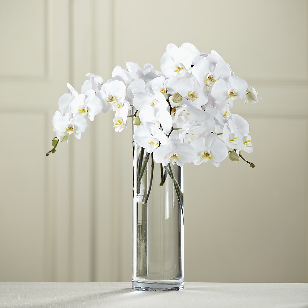 White Phalaenopsis Bouquet – Citifloral, New York NY