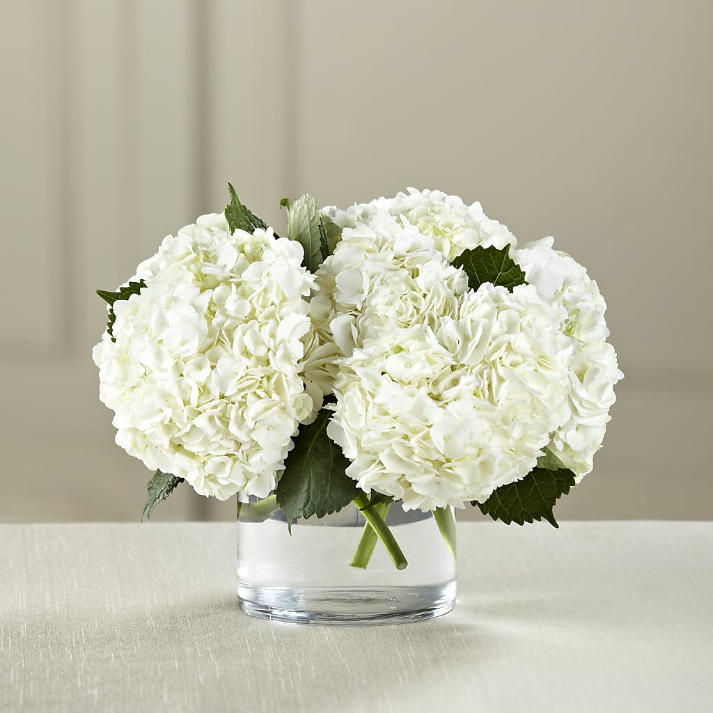 White Hydrangea Bouquet – Citifloral, New York NY