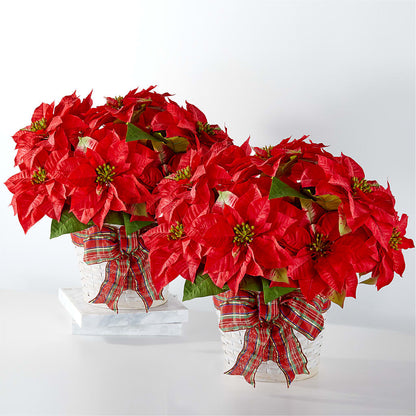 Happiest Holidays Poinsettia Bundle –  Citifloral, New York NY