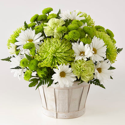 Lucky Charm Basket (Standard) –  Citifloral, New York NY