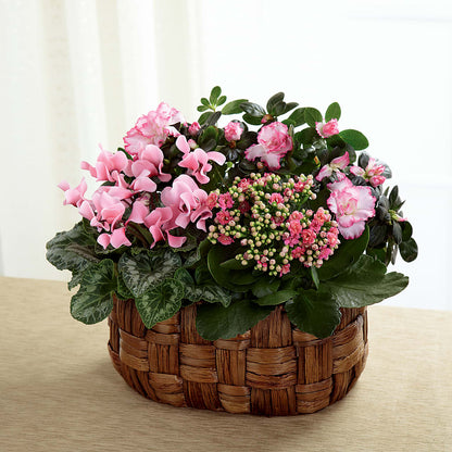 Pink Assortment –  Citifloral, New York NY