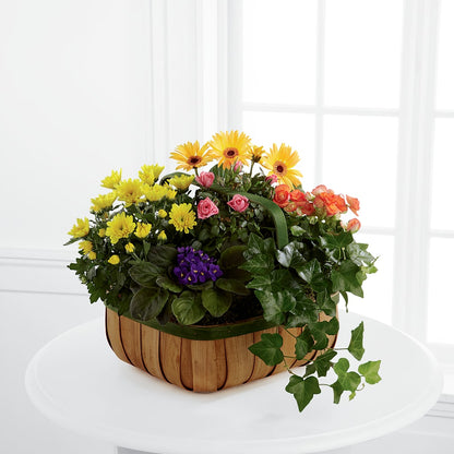 Gentle Blossoms Basket –  Citifloral, New York NY