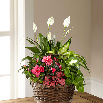 Dream in Pink Dishgarden –  Citifloral, New York NY