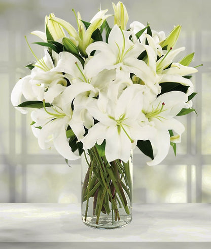 Vase of White Lilies