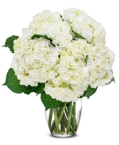 Pure Elegance Bouquet