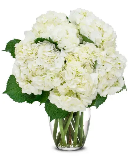 Pure Elegance Bouquet