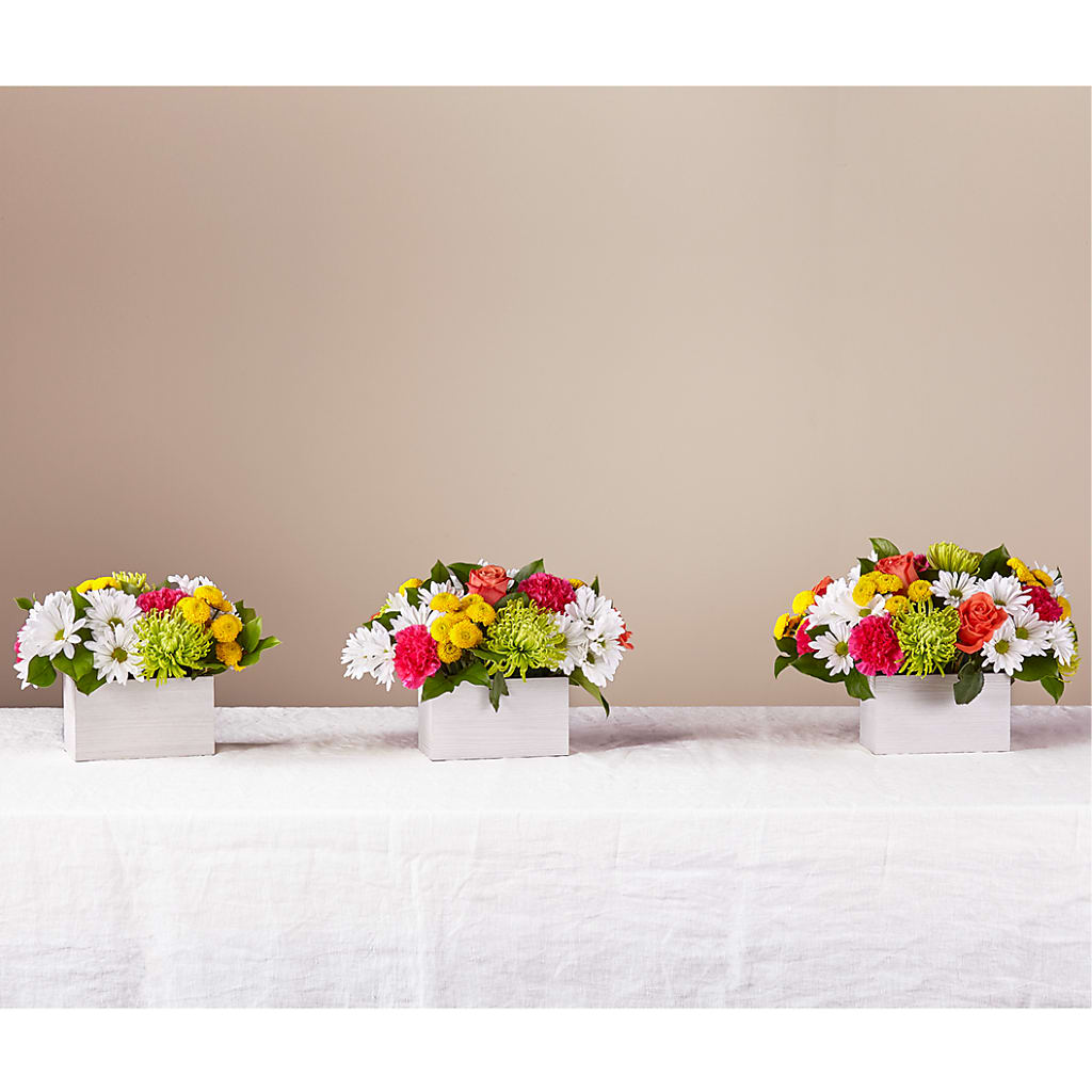 Sorbet Bouquet –  Citifloral, New York NY