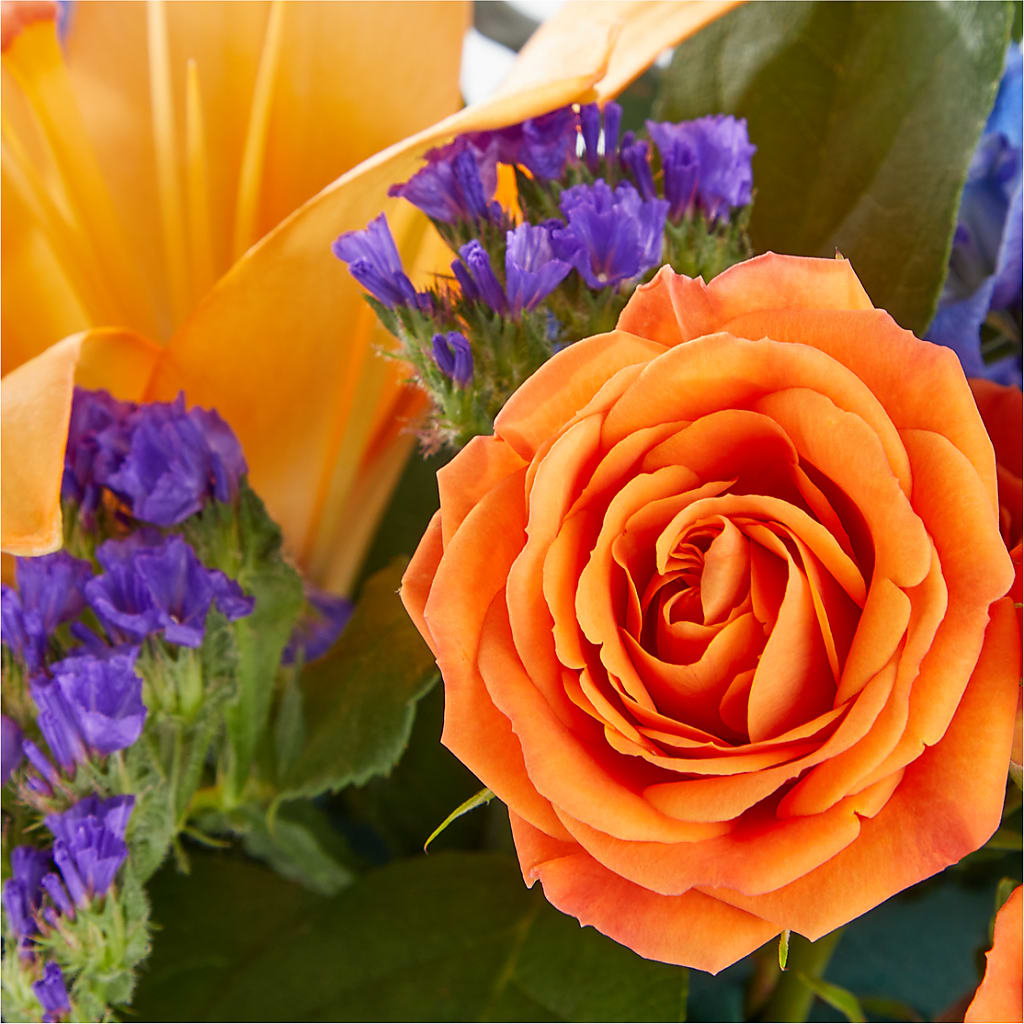 Radiant Citrus Box Bouquet –  Citifloral, New York NY