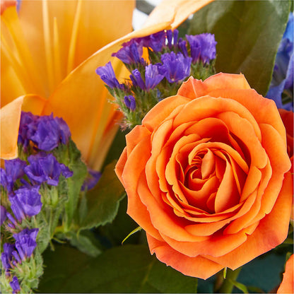 Radiant Citrus Box Bouquet –  Citifloral, New York NY