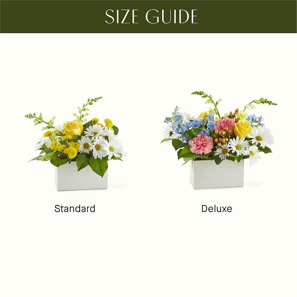 Sun Salutation Box Bouquet –  Citifloral, New York NY