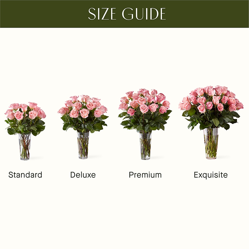 Long Stem Pink Rose Bouquet –  Citifloral, New York NY