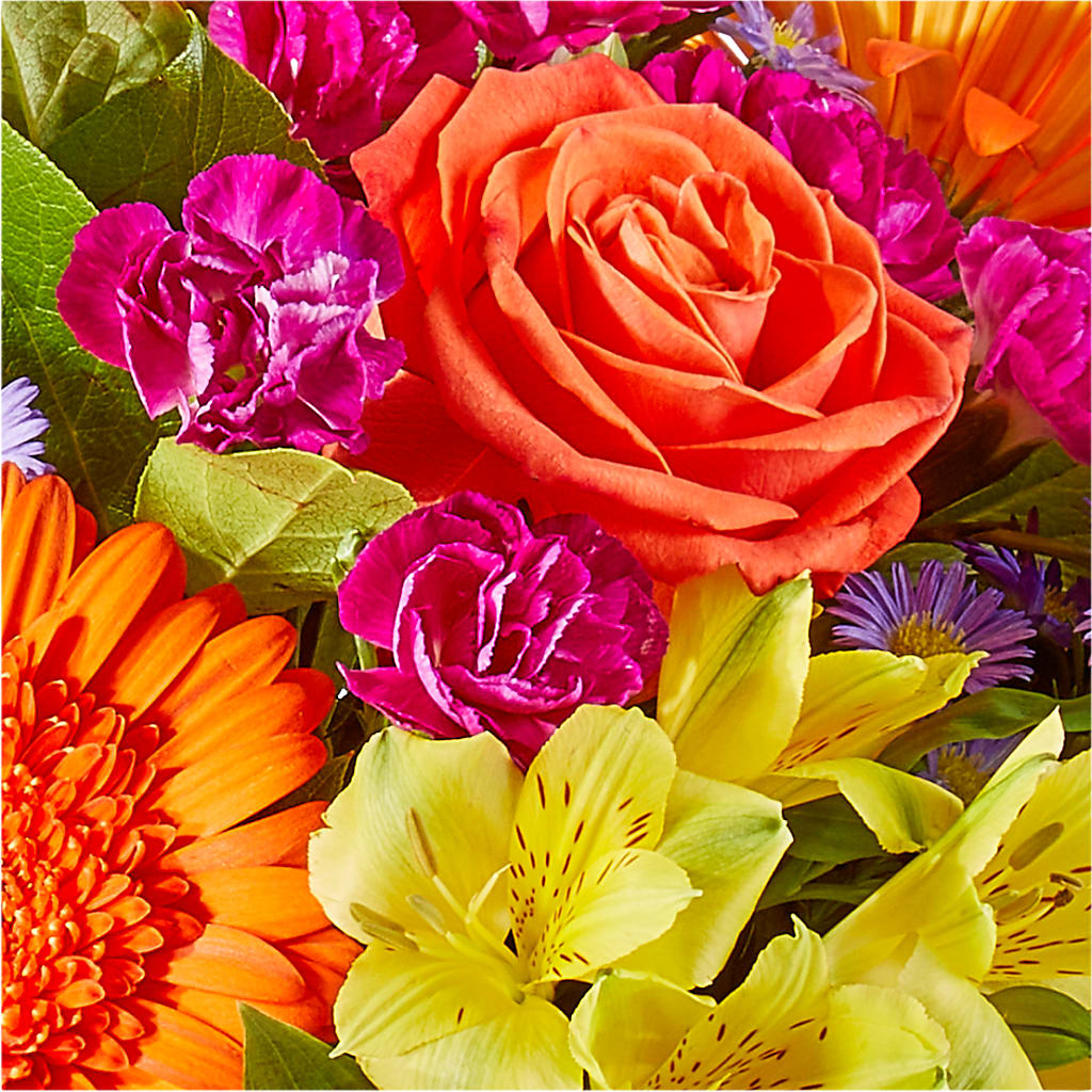 Tricks & Treats Pumpkin –  Citifloral, New York NY