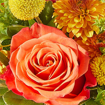 Gourdgeous Pumpkin –  Citifloral, New York NY