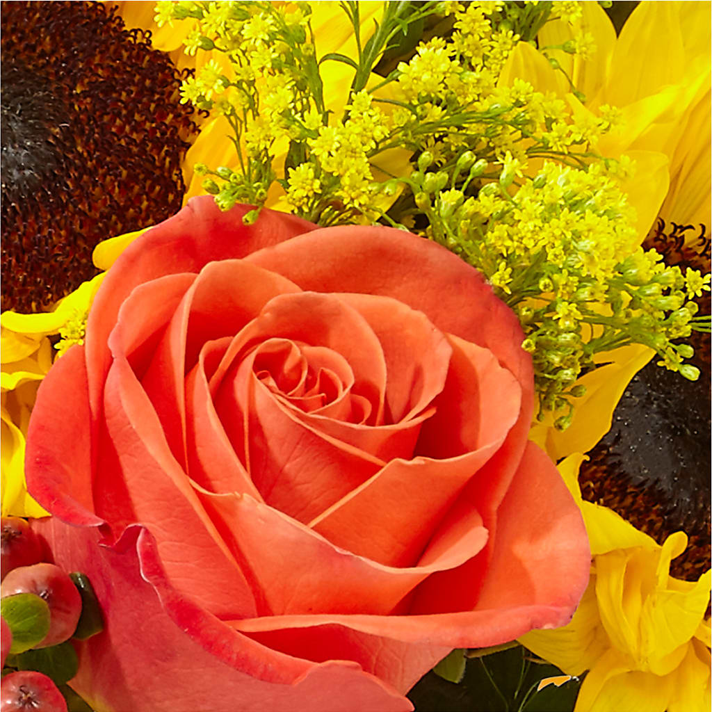 Pick of the Patch Pumpkin Bouquet –  Citifloral, New York NY