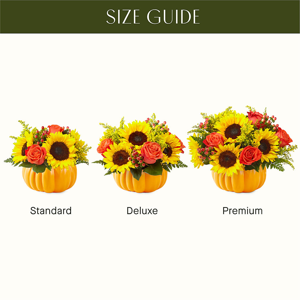 Pick of the Patch Pumpkin Bouquet –  Citifloral, New York NY