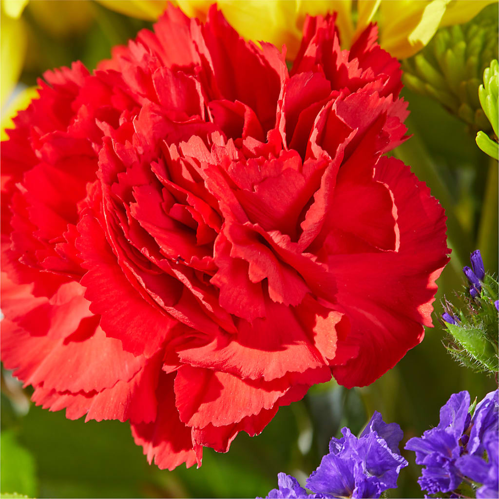 Brighter Days Bouquet –  Citifloral, New York NY