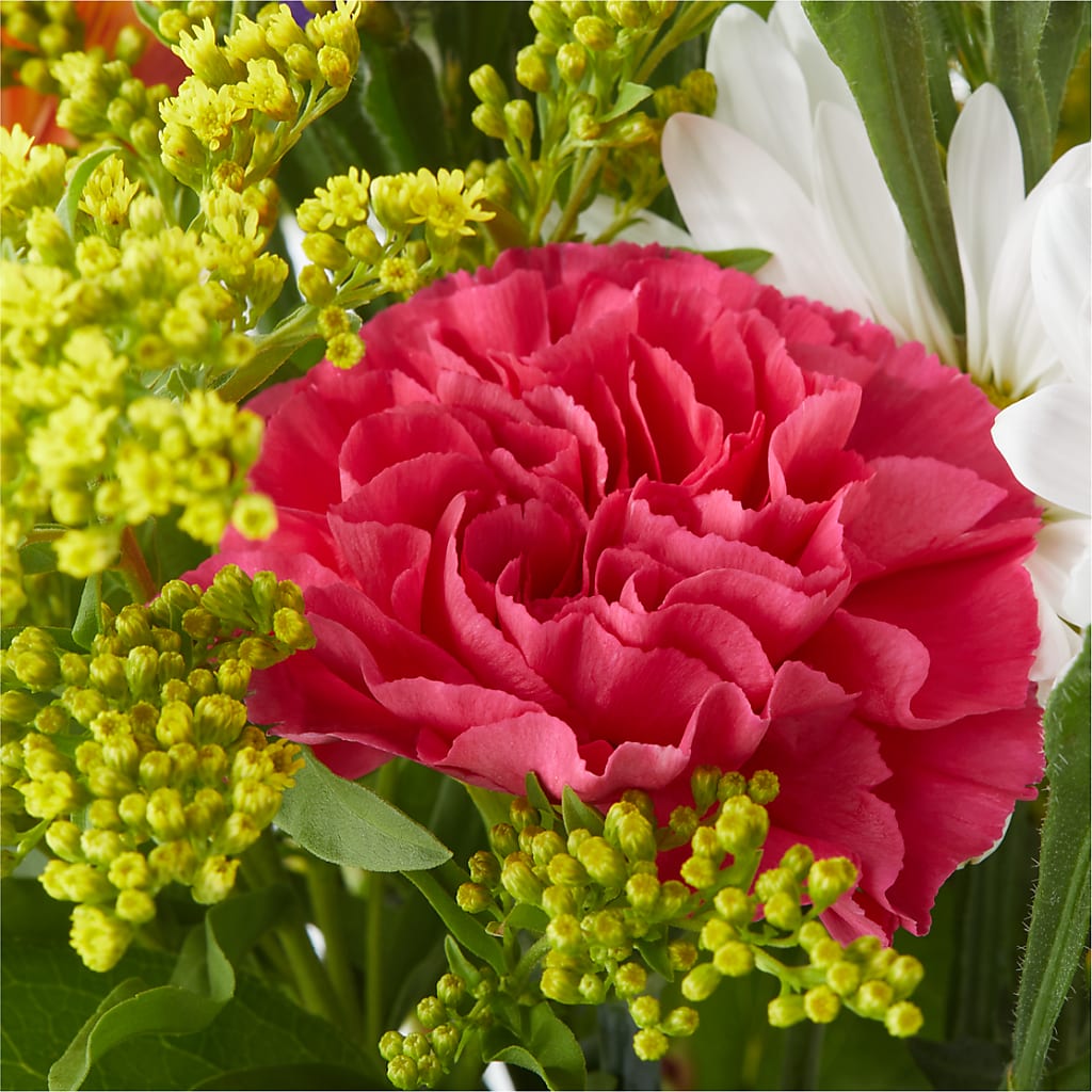 Oopsie Daisy Bouquet –  Citifloral, New York NY