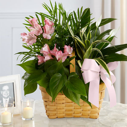 Living Spirit Dishgarden –  Citifloral, New York NY