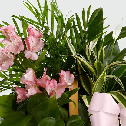 Living Spirit Dishgarden –  Citifloral, New York NY