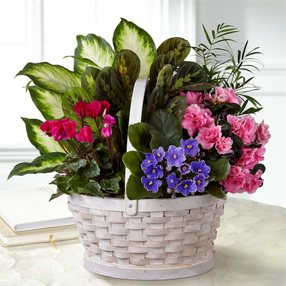 Peaceful Garden Planter –  Citifloral, New York NY