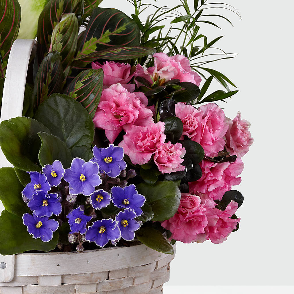Peaceful Garden Planter –  Citifloral, New York NY