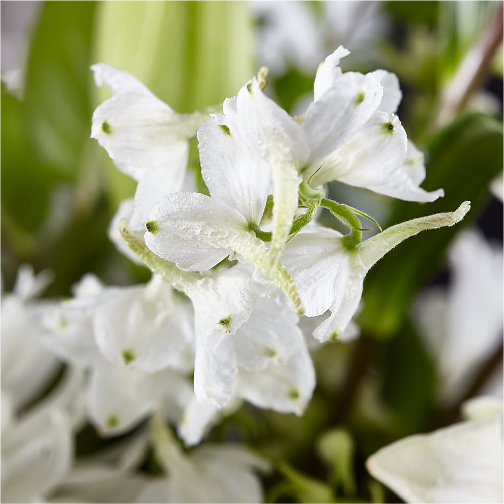 Classic Ivory – A Florist Original –  Citifloral, New York NY