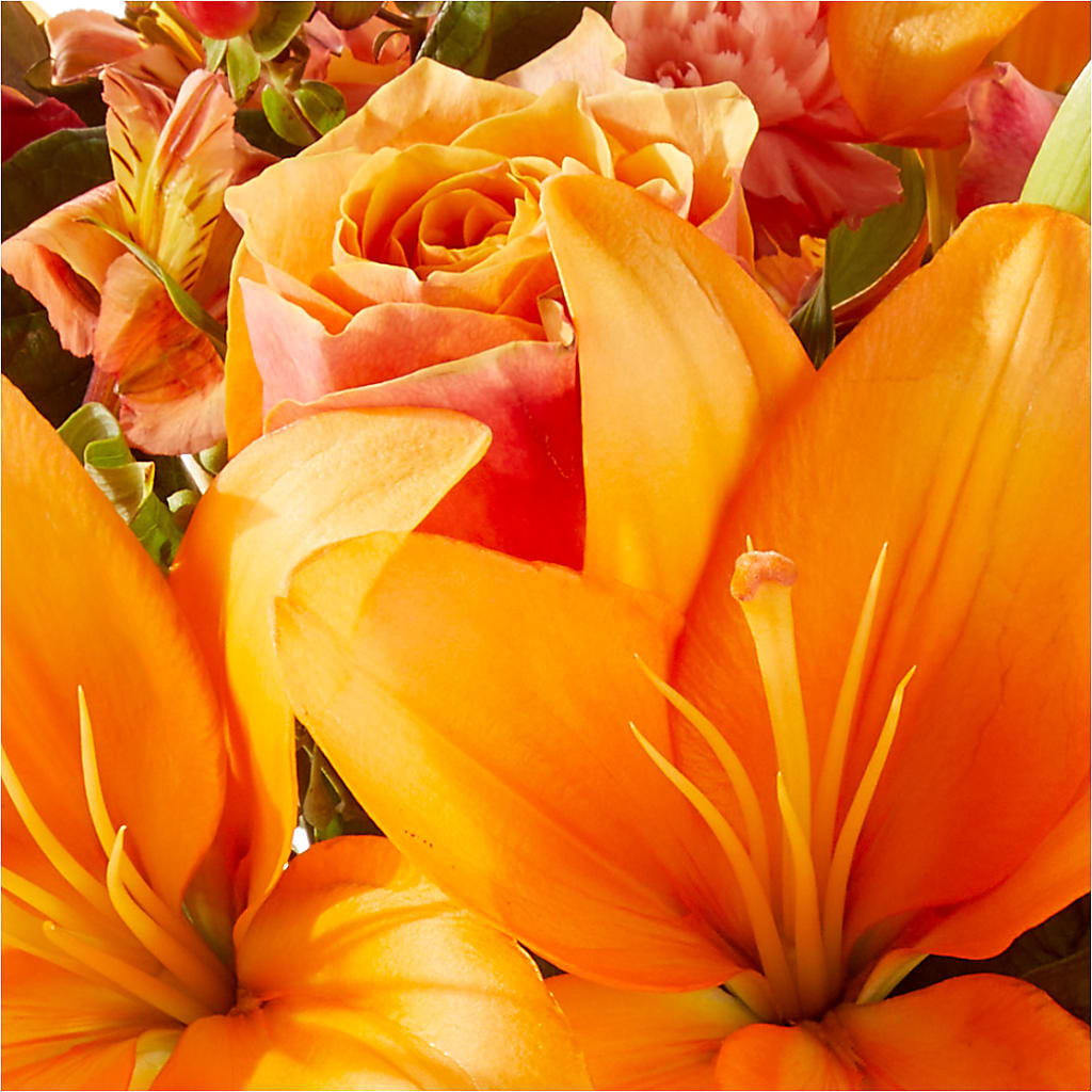 Afternoon Light Bouquet –  Citifloral, New York NY