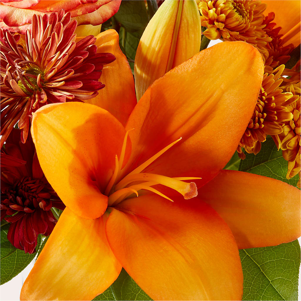Autumnal Aroma Bouquet –  Citifloral, New York NY