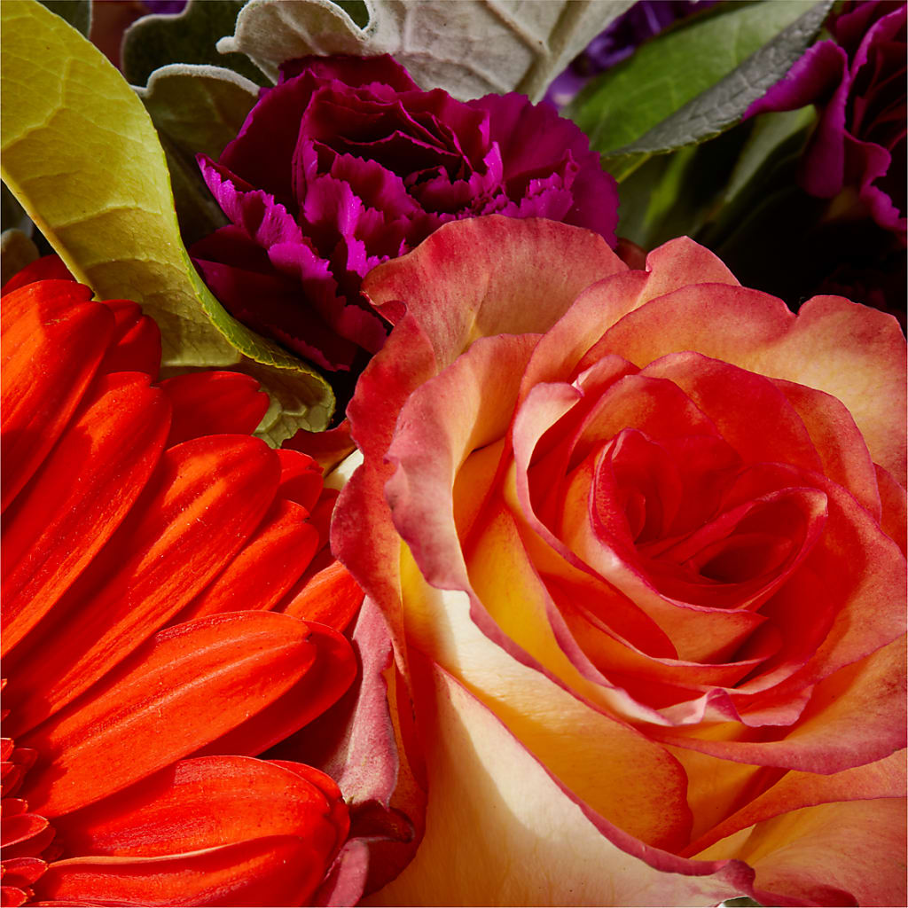 Sangria Bouquet –  Citifloral, New York NY