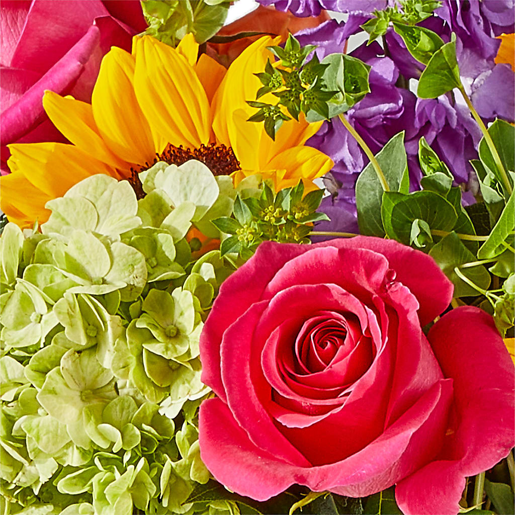 Vibrant Greetings Bouquet –  Citifloral, New York NY