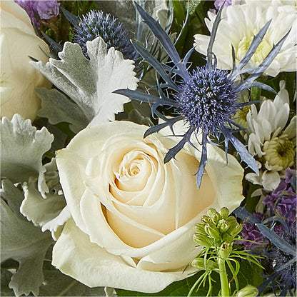 Shooting Star Bouquet –  Citifloral, New York NY