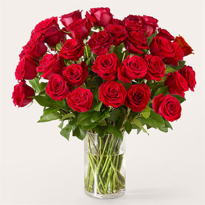 The One Red Rose Bouquet –  Citifloral, New York NY
