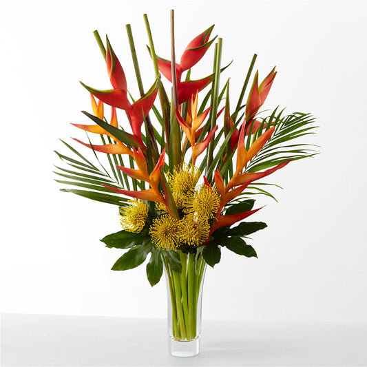 The Drama –  Citifloral, New York NY