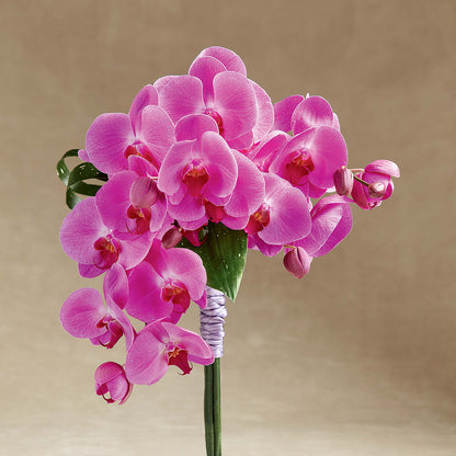 Glorious Bouquet –  Citifloral, New York NY