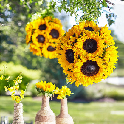 Sublime Garden Hanging Arrangement –  Citifloral, New York NY