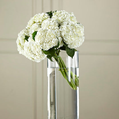 White Hydrangea Hand-Tied Bouquet –  Citifloral, New York NY