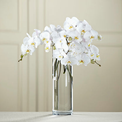 White Phalaenopsis Bouquet –  Citifloral, New York NY